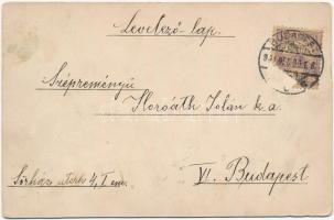 1902 Boldog új évet! Kézzel rajzolt üdvözlőlap törpékkel / New Year, hand-painted postcard with dwar...