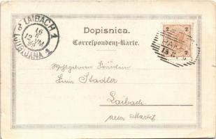 1899 (Vorläufer) Postojnska jama, Adelsberger Grotte; Eingang in die Grotte / Uhod v. Jamo / entry t...