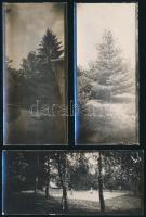 1908 Losoncnagyfalu, 26 db feliratozott fotó (18 db sztereó és 8 db sima), 5,5×13 cm / Veľká Ves, Sl...