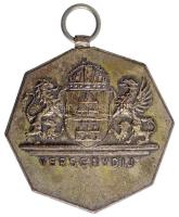 ~1930. "Budapest Székesfőváros Elektromos Műveinek Testedző Egyesülete / Versenydíj" Br dí...