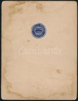 Liptóújvári Strobl Alajos, (1856-1926)  szobrászművész Erdő törvény c. szobrával melyet Kálnoki Bedő...