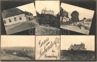1909 Leobendorf bei Korneuburg, Schloss, Strasse, Karl Laa Gasthaus zum Grünen Baum / castles, street, restaurant