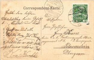 1909 Leobendorf bei Korneuburg, Schloss, Strasse, Karl Laa Gasthaus zum Grünen Baum / castles, stree...