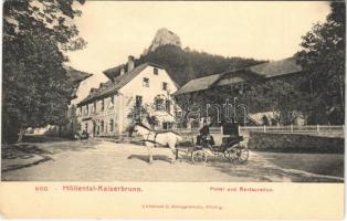 Höllental-Kaiserbrunn, Hotel und Restauration / hotel and restaurant, horse chariot