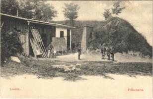 1910 Piliscsaba, Tábor, Lövölde céltáblákkal. Gedeon Katalin kiadása