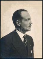 Piero Puricelli (1883-1951) olasz mérnök, politikus fotója, a hátoldalon feliratozva, 21x16 cm