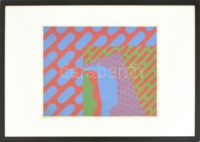 Deim Pál (1932-2016): Zöld bábu, 1982. Szitanyomat, papír, jelzett, számozott: 18/40. Üvegezett fa k...