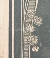 1924 Nyíregyháza, az evangélikus egyház vegyes énekkara, kartonra kasírozott fotó, kopott karton, 17...