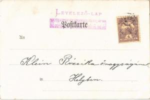 1900 Lady art postcard. Art Nouveau, floral. Serie E. I. 335