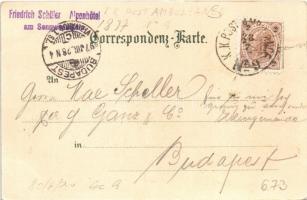 1897 (Vorläufer) Gruss aus den Bergen (Tirol). H. Meinz Art Nouveau, floral, litho + "Friedrich...