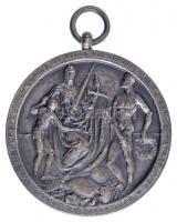 1912. "Budapest Székesfőváros Közlekedési Részvénytársaság Sportegyesülete a sport terén elért ...