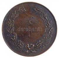 ~1950. "Határőr Sportversenyek" kétoldalas Br díjérem (48mm) T:2