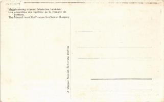 Magyarország trianoni lehetetlen határáról. Zemplén vm. Sátoraljaújhely: a csehek által hajózhatónak...