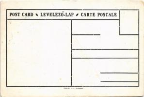 Az úgynevezett demarkációs vonal a román-cseh-szerb imperialisták kezében. Patria rt. kiadása / Hung...