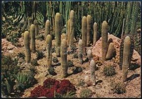 1960 ZTE csapattagjainak aláírása Spanyolországból  hazaküldött képeslapon