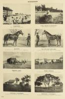 Debrecen sz. kir. város és Hajdu vármegye. Szerk.: Csobán Endre. Főmunkatárs: Dr. Herpay Gábor. Várm...