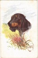 1919 Dog art postcard. H. & S. W. IX. Nr. H. 264. s: K. Wolf (EK)