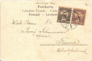 1902 Prosit! / Cats with champagne. Fr. A. Ackermann Kunstverlag Künstlerpostkarte No. 1174. s: A. D...