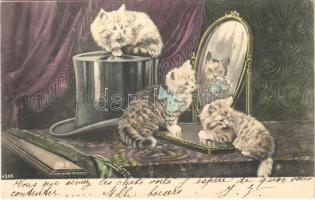 Cats with mirror and hat