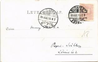 1899 Ice skate, winter sport. litho (EM)