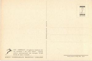 1933 Gödöllő, Cserkész Világ Jamboree: cserkész fiú lasszóval. Olasz kiadás / IV. Scout Jamboree. AS...