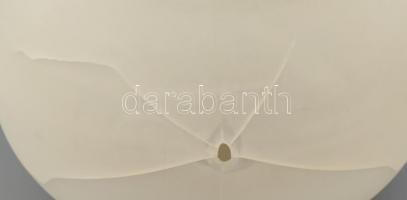 Szendrey Júlia (1828-1868) magyar költő, író, fordító, Petőfi Sándor költő feleségének asztali ivóvi...