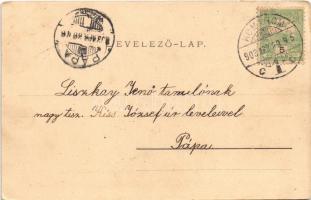 1903 Budapest XIV. Városliget, Széchenyi-sziget, csónak. Ganz Antal 29. (EK)