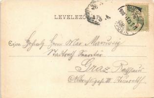 1900 Budapest XIV. Városliget, Közlekedésügyi múzeum. Divald Károly 40. sz. (EK)