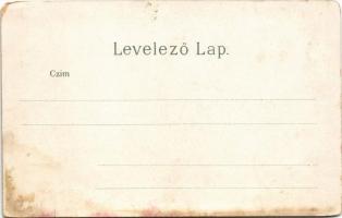 Budapest I. Látkép a Királyi palotától és Lánchíd. litho (EM)