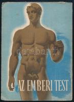 cca 1940 Bayer: Az emberi test/3 gyógyszer. Bp., Klösz-ny., gyógyszerész prospektus, reklámanyag, 16x11 cm