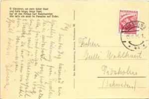 Kufstein (Tirol), Konditorei und Cafe Stumvol / cafe and confectionery, garden