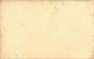 Meztelen hölgy / Erotic nude lady (non PC)