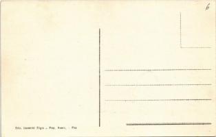 Pisa, Lungarno Regio / street view with tram