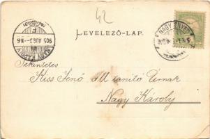 1905 Nagyenyed, Aiud; Fő tér, M. kir. állami iskola. Fenichel Lázár kiadása / main square, school (E...