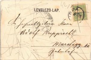 1904 Lippa, Lipova; Fő tér, üzletek / main square, shops (fl)