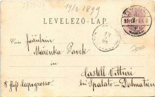 1899 Temesvár, Timisoara; Dohánygyár, Lövőtér, lövölde, Józsefvárosi Bonnáz és Hunyadi utca. Kossak ...