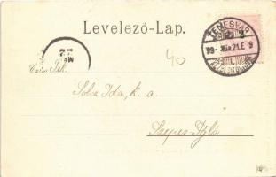 1899 Temesvár, Timisoara; Városi bérház. Moravetz Gyula kiadása / Städtisches Zins-Palais / palace