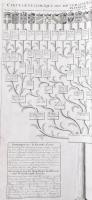Az Európai uralkodóházak leszármazási táblája. Chatelain - Carte Genealogique des Souverains issus d...
