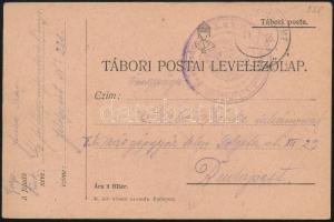 1917 Field postcard "FP 228", 1917 Tábori posta levelezőlap "FP 228"
