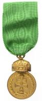 1922. Magyar Koronás Bronzérem aranyozott Br kitüntetés, fémjel nélkül, francia mellszalagon T:1- / Hungary 1922. Hungarian Bronze Medal with the Holy Crown Br gold plated decoration with hallmark, with French ribbon C:AU NMK 412.