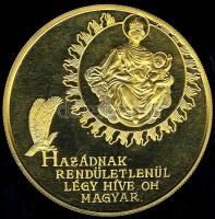 1989. "1956.okt.23." nagyalakú piefort aranyozott Br plakett T:PP Díszdobozban!