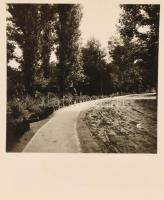 1935-1936 Balatonlelle, villa, üzletbelső Nivea reklámmal, utcaképe, sétány, vitorlás, 17 db fotó, e...