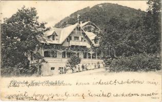 1900 Kovácspatak, Kovacov; Otthon villa / villa (fa)
