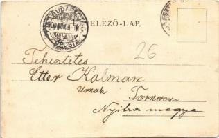 1900 Kovácspatak, Kovacov; Otthon villa / villa (fa)