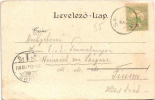 1904 Savanyúkút, Bad Sauerbrunn; Hotel u. Café Bellevue, Speisesaal, Kur-Quelle / Bellevue szálloda ...