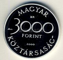 2000. 3000Ft Ag "Veszélyeztetett állatvilág-hód" T:PP Csak 7000db!