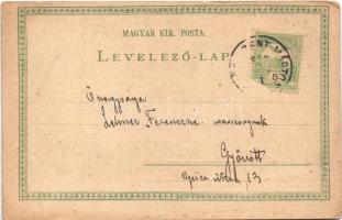 1902 Boldog Újévet! / New Year greeting art postcard, children riding storks. litho (EB)