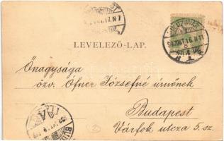 1902 Kolozsvár, Cluj; Mátyás király szobor / statue