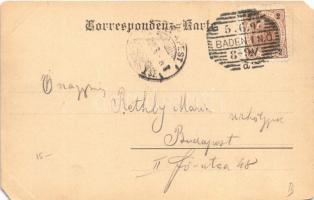 1897 (Vorläufer!) Baden bei Wien, Villa Erzherzog Wilhelm (EM)