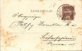 1901 Veszprém, látkép. Pósa Endre kiadása. Erdélyi cs. és kir. udvari fényképész műterméből + "...